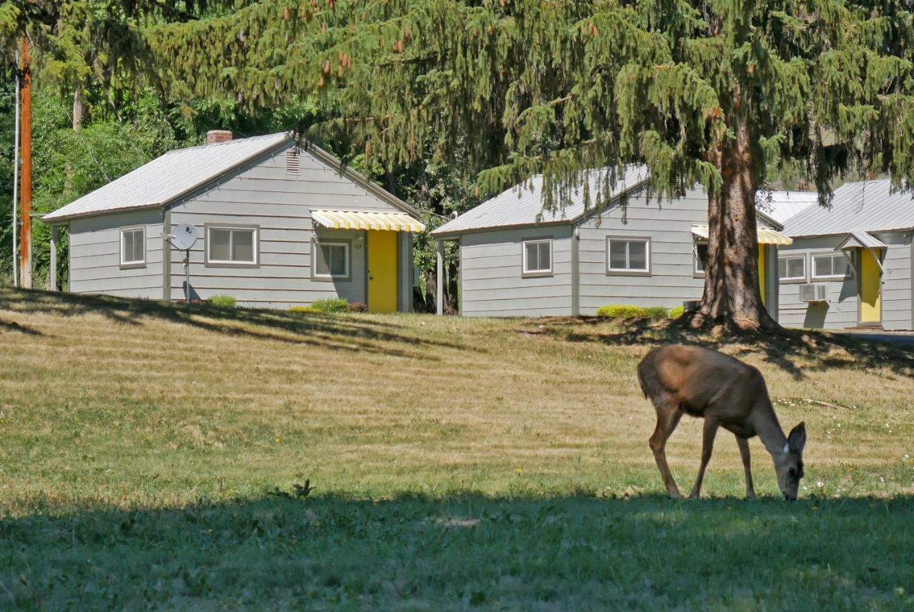 Idle A While Cabins Twisp Exterior photo